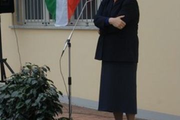 Sfoglia la galleria